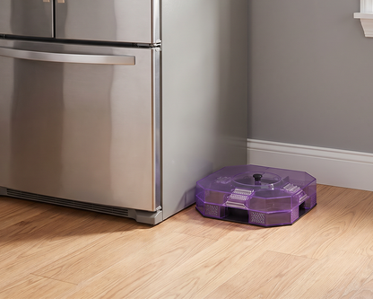 🔥Reusable Effective Roach Trap， Non-Toxic Sticky Cockroach Catcher for Kitchen Home Indoor Pest Control