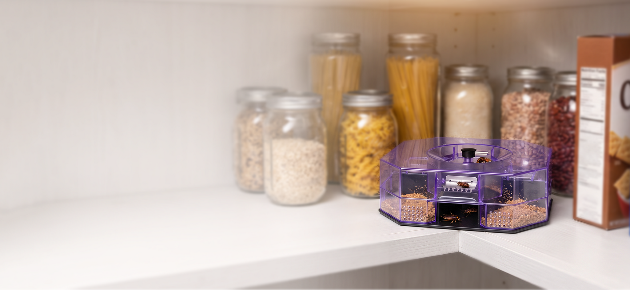 🔥Reusable Effective Roach Trap， Non-Toxic Sticky Cockroach Catcher for Kitchen Home Indoor Pest Control