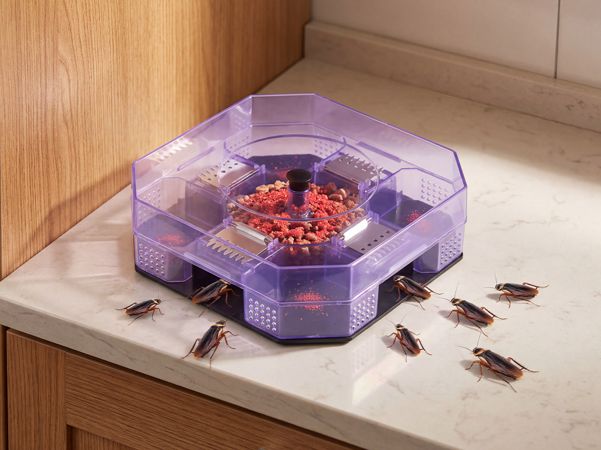 🔥Reusable Effective Roach Trap， Non-Toxic Sticky Cockroach Catcher for Kitchen Home Indoor Pest Control