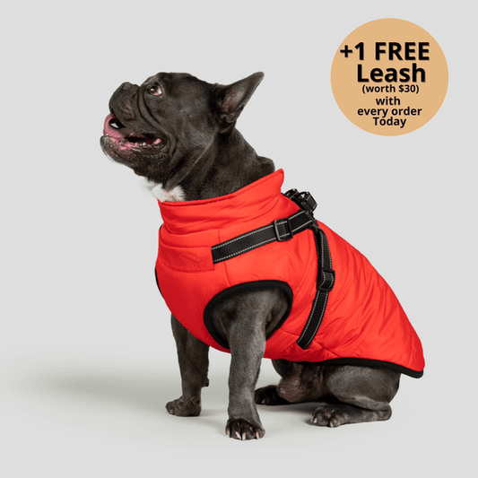 FurryKing 3 in 1 Winter Jacket