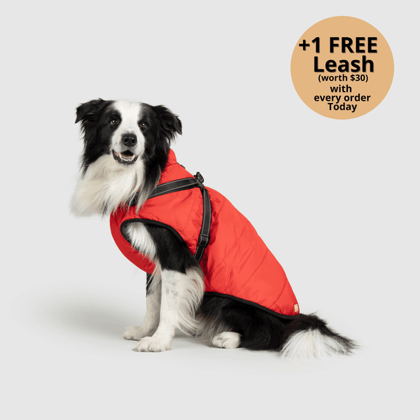 FurryKing 3 in 1 Winter Jacket