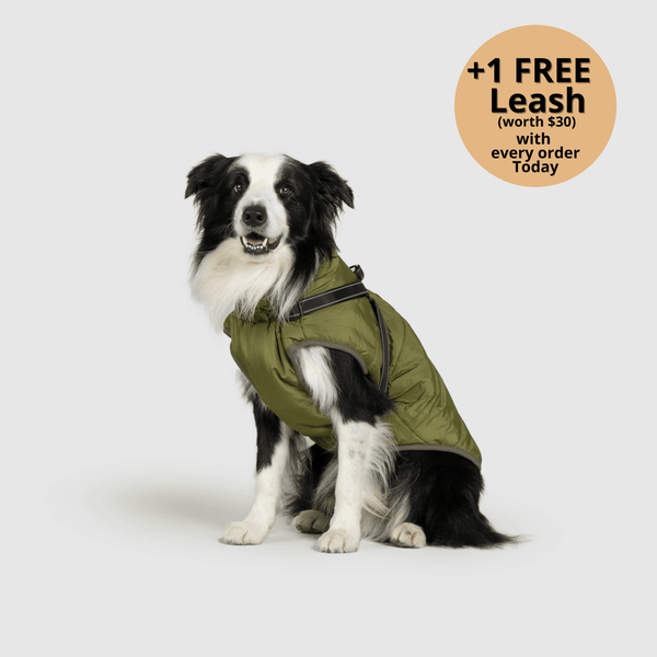 FurryKing 3 in 1 Winter Jacket