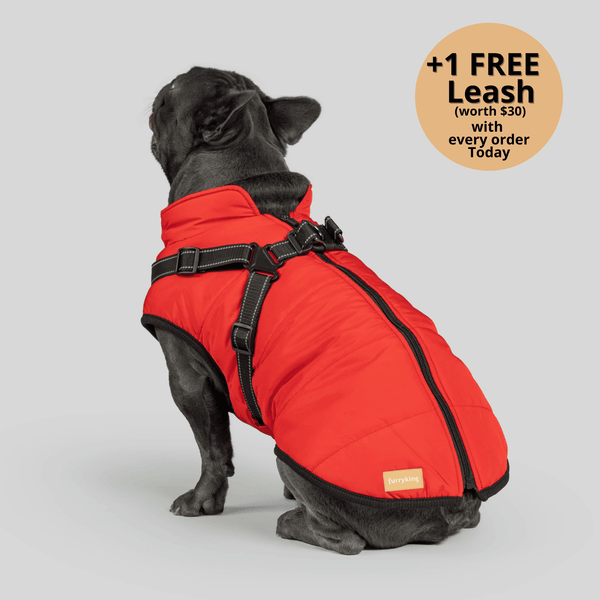 FurryKing 3 in 1 Winter Jacket