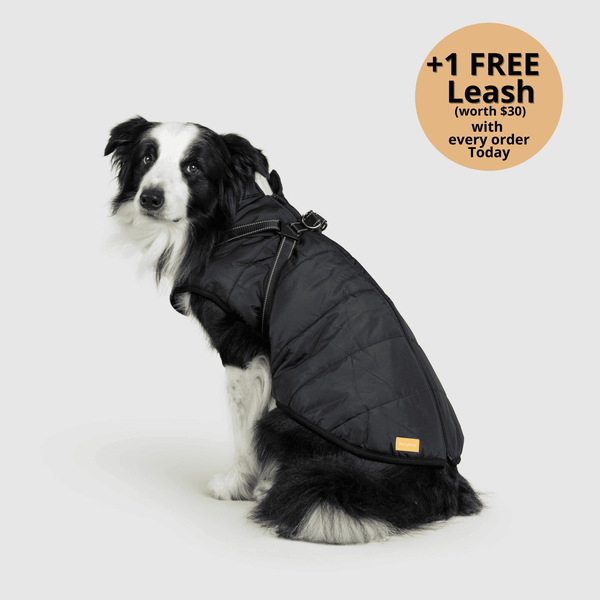 FurryKing 3 in 1 Winter Jacket