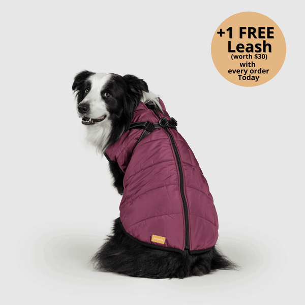 FurryKing 3 in 1 Winter Jacket