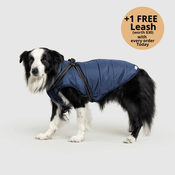 FurryKing 3 in 1 Winter Jacket
