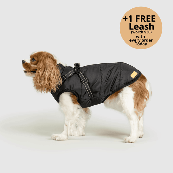 FurryKing 3 in 1 Winter Jacket