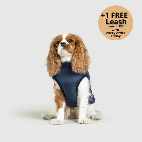 FurryKing 3 in 1 Winter Jacket