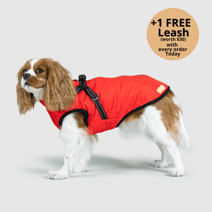 FurryKing 3 in 1 Winter Jacket
